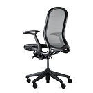 Donald Chadwick Chadwick Chair