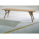 Yves Raschle and Thomas W&uuml;thrich Tiga Table