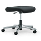 Walser Design  Giroflex 64 Chairs