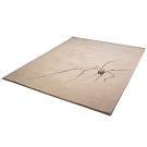 Jessica Albarn Spider Rug