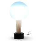 Sebastian Wrong Globe Light