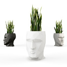 Teresa Sapey Adan Planter