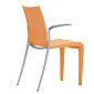 Philippe Starck Loulou Chair